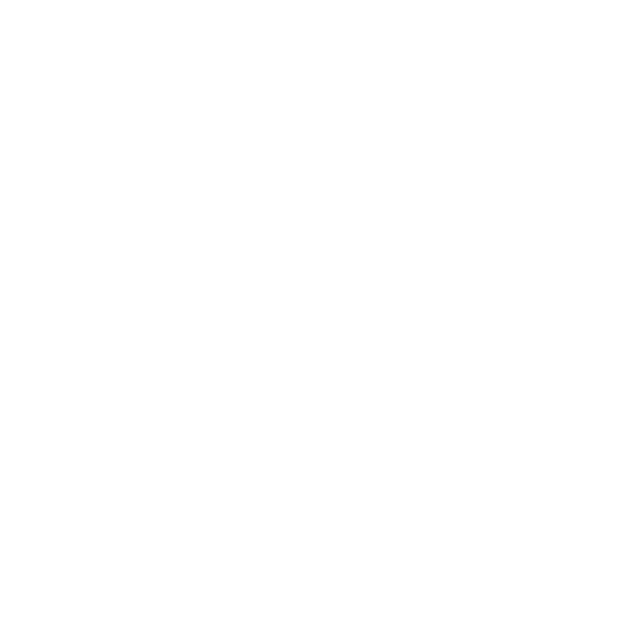 Ambra Zoia